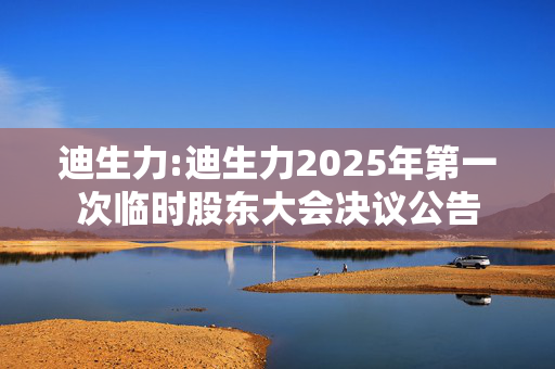 迪生力:迪生力2025年第一次临时股东大会决议公告