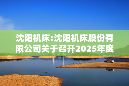 沈阳机床:沈阳机床股份有限公司关于召开2025年度第一次临时股东大会的通知