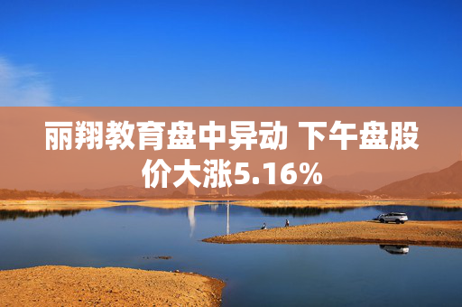 丽翔教育盘中异动 下午盘股价大涨5.16%