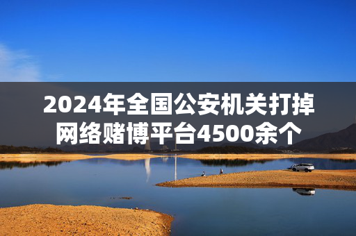 2024年全国公安机关打掉网络赌博平台4500余个