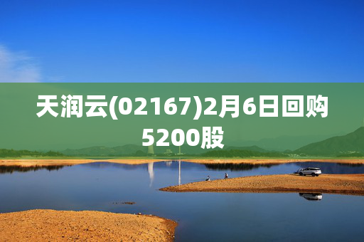 天润云(02167)2月6日回购5200股