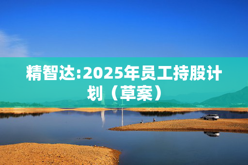 精智达:2025年员工持股计划（草案）