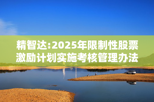 精智达:2025年限制性股票激励计划实施考核管理办法