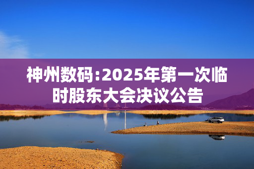 神州数码:2025年第一次临时股东大会决议公告