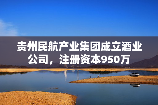 贵州民航产业集团成立酒业公司，注册资本950万