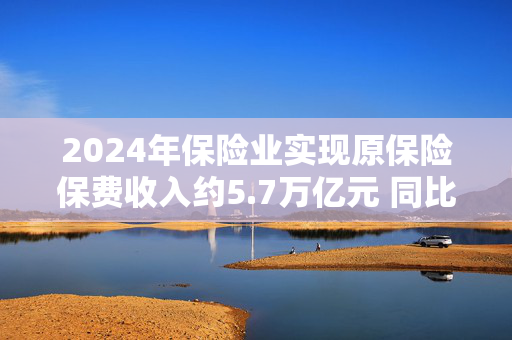 2024年保险业实现原保险保费收入约5.7万亿元 同比增长5.7%