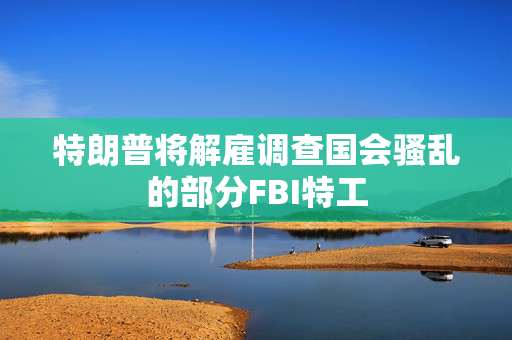 特朗普将解雇调查国会骚乱的部分FBI特工