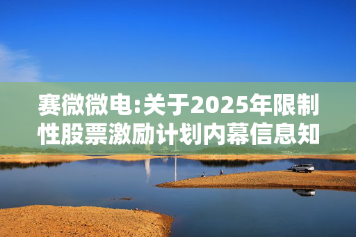 赛微微电:关于2025年限制性股票激励计划内幕信息知情人买卖公司股票情况的自查报告