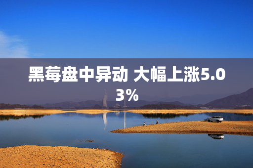 黑莓盘中异动 大幅上涨5.03%