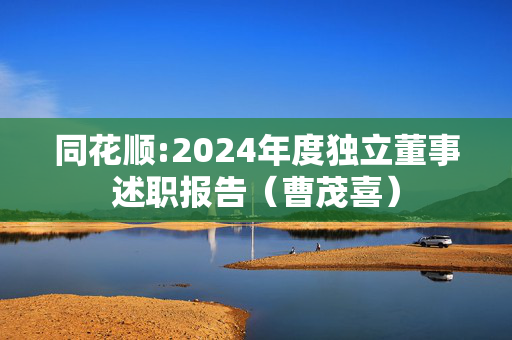 同花顺:2024年度独立董事述职报告（曹茂喜）