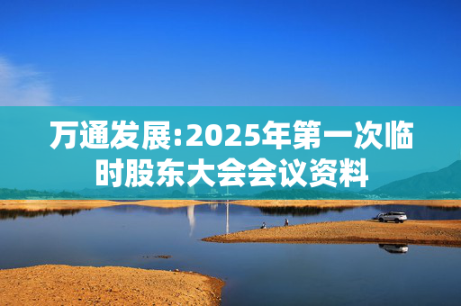 万通发展:2025年第一次临时股东大会会议资料