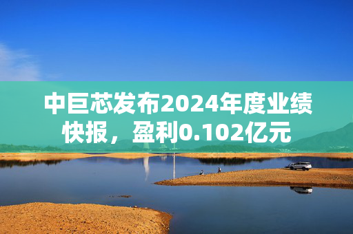 中巨芯发布2024年度业绩快报，盈利0.102亿元