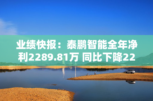 业绩快报：泰鹏智能全年净利2289.81万 同比下降22.59%