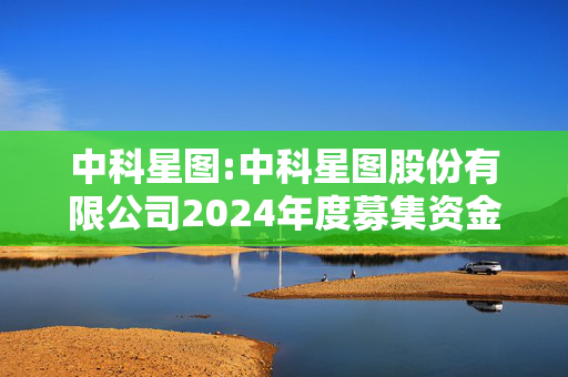 中科星图:中科星图股份有限公司2024年度募集资金存放与实际使用情况的专项报告