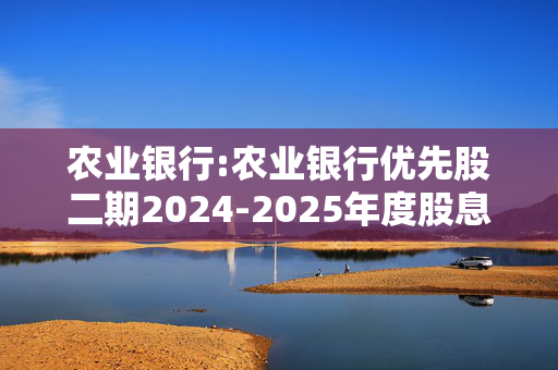 农业银行:农业银行优先股二期2024-2025年度股息发放实施公告