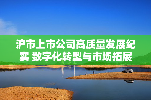 沪市上市公司高质量发展纪实 数字化转型与市场拓展双轮驱动