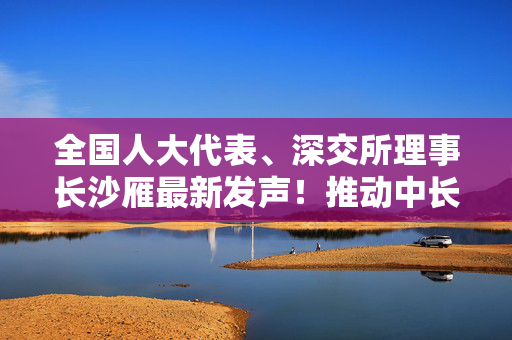 全国人大代表、深交所理事长沙雁最新发声！推动中长期资金入市、积极推动推广定期投资模式