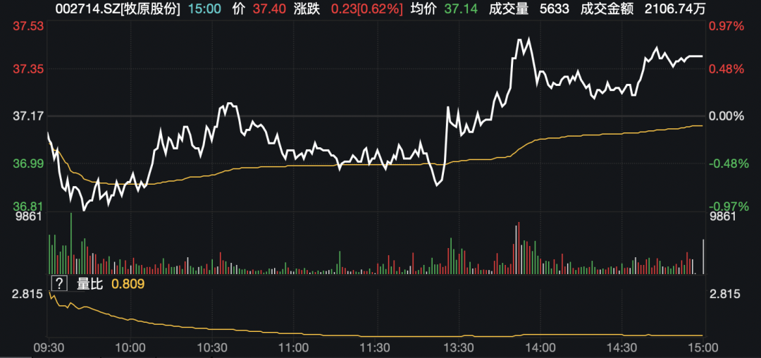 2000亿A股巨头紧急声明：已报案